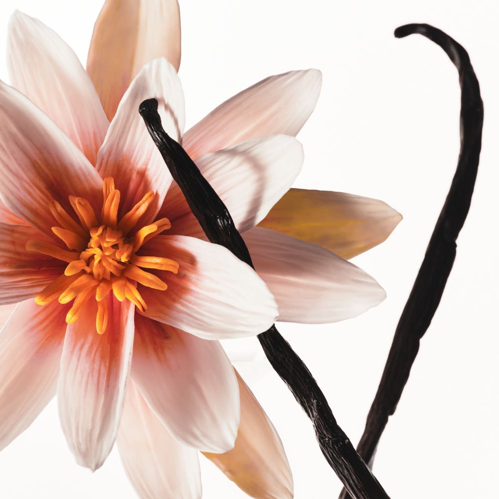 KYLIE VANILLA DEW HAIR & BODY MIST